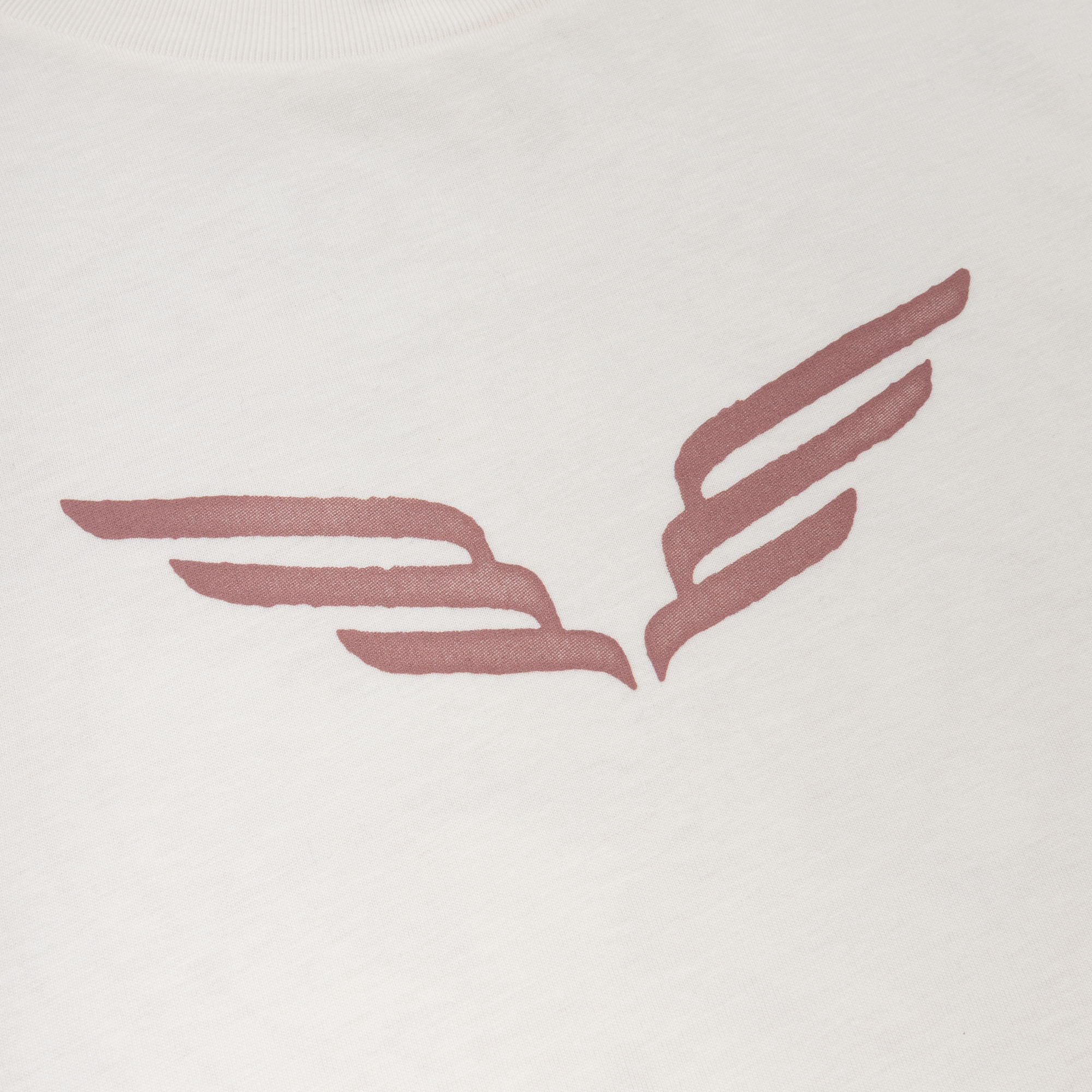 Off-White Wings Pegasus Cropped T-Shirt